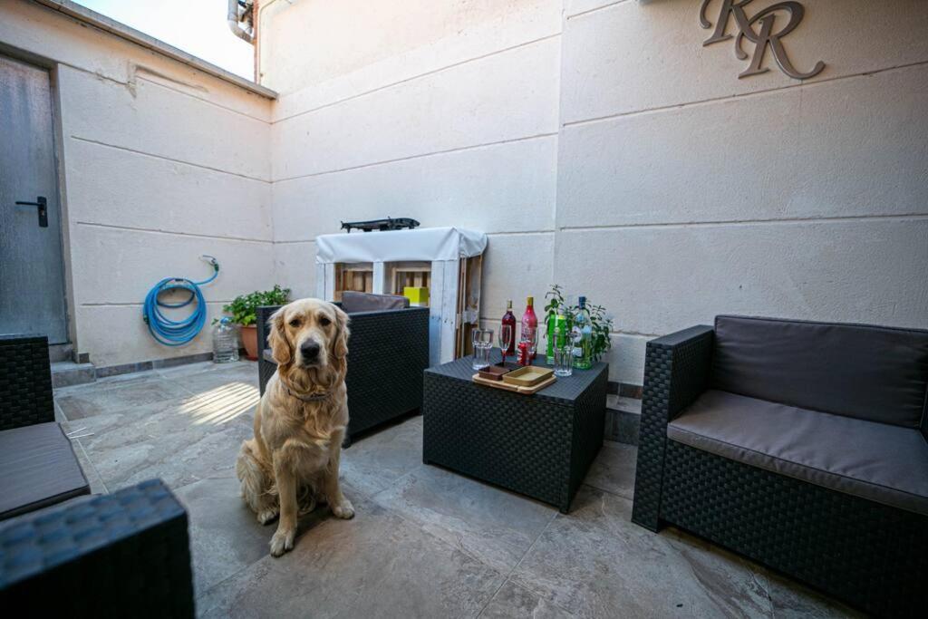 Miraleon Villa Bagian luar foto